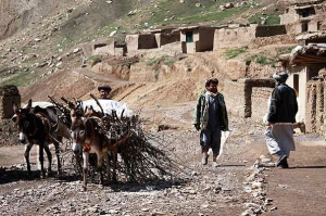 Rural village in Maimana region of Afghanistan. Image by WFP.org